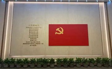 党员转正半年总结6篇