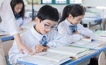 导师的工作总结7篇