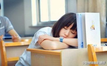 导师的工作总结最新5篇