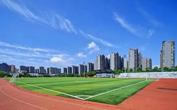 大学体育心得体会7篇