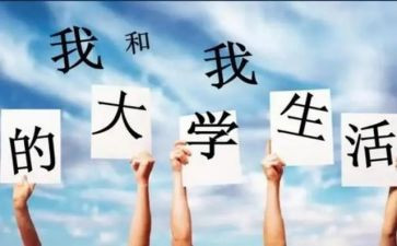 大一心得体会800字范文8篇
