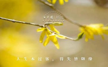 关于得与失作文800字8篇