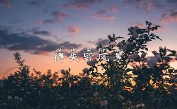 网课我的得与失作文最新8篇