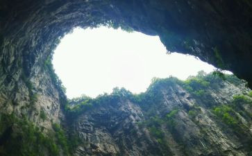 我与地坛的作文7篇