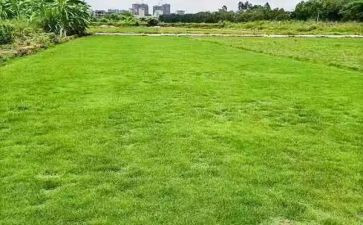 地产销售下半年工作计划8篇