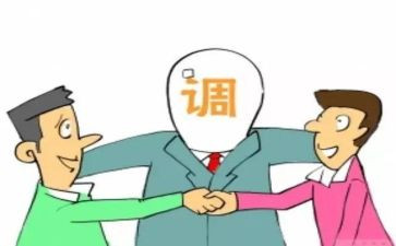 调解员工作个人总结6篇