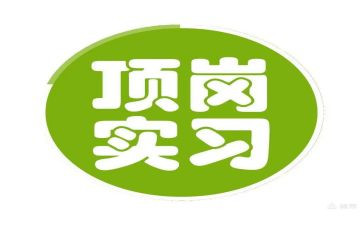 顶岗实习总结模板7篇