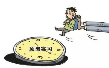 顶岗工作总结8篇