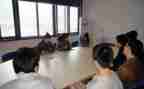 顶岗实习鉴定表个人总结7篇