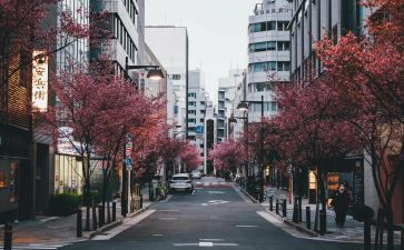 东京审判电影观后感7篇
