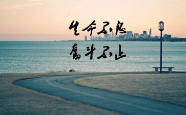 那一次我读懂了母爱作文8篇