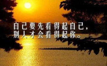 母亲我读懂了你作文8篇