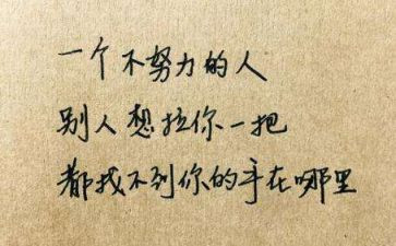 慢慢的我懂了作文优质5篇