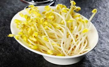 豆芽生长记作文7篇