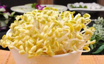 种豆芽作文300字作文7篇
