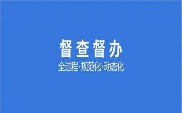 督查科工作总结7篇