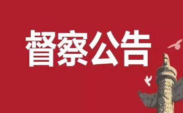 督查科半年工作总结7篇