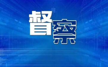 督查半年度工作总结7篇