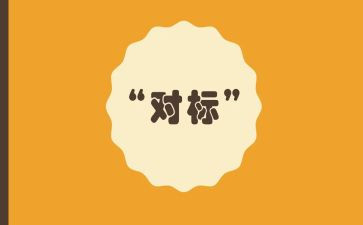 局对标管理工作总结模板6篇