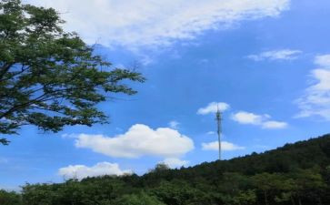 幼儿园说声对不起教案8篇
