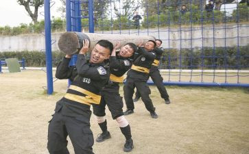 教师队伍建设调研报告8篇