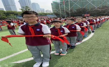 工作队员述职报告8篇