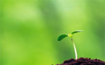 关于独立思考的作文5篇