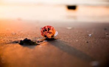 多彩的课余生活作文优质8篇