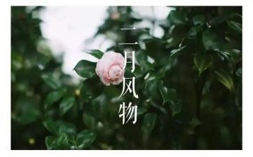 二月保育工作总结5篇