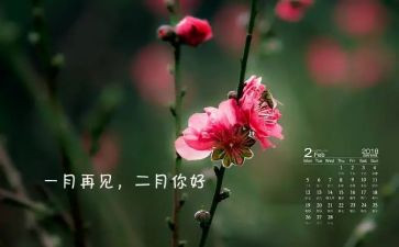 十二月工作计划模板6篇