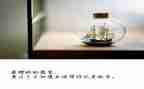 改革开放演讲稿5篇