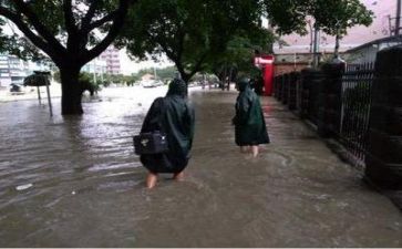 防汛活动总结6篇