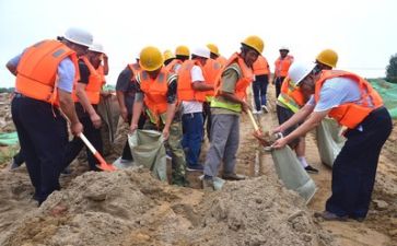 防汛工作总结的报告8篇