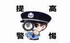 电信防诈骗活动总结最新6篇