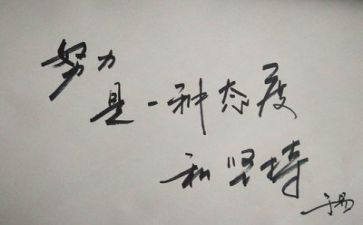 圆教案反思5篇
