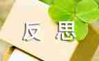 大反思总结报告最新8篇