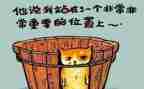 反思类工作总结参考8篇