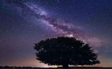 繁星一五读后感模板7篇