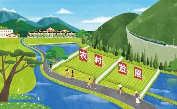 教师的专业发展心得体会7篇