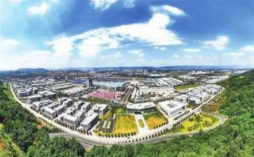 大学生就业发展心得体会7篇