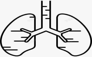 我们的肺教学反思5篇