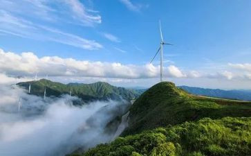 树家风家训的演讲稿6篇