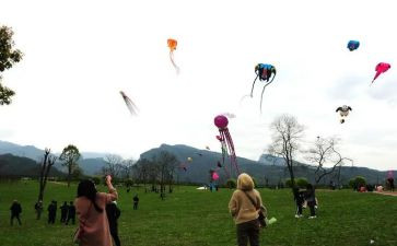 放风筝教案优秀5篇