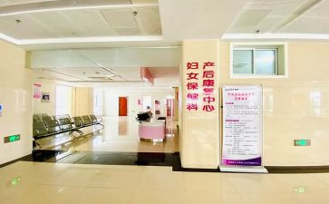 区妇幼工作计划模板8篇