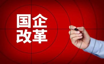市改革工作总结模板8篇