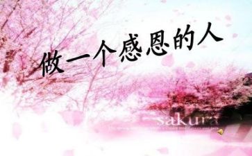 我感恩老师作文600字参考8篇