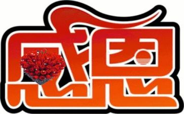 感恩的老师的作文300字7篇