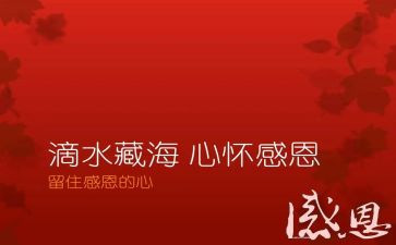 关感恩的故事演讲稿8篇