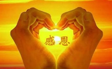 我感恩老师的作文优质7篇