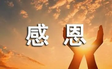 关于感恩作文通用8篇